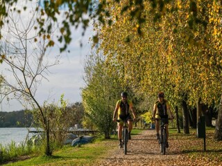 Vakantiehuis Dicmo Omgeving 36