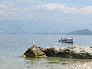 Apartamento Arbanija Entorno 37