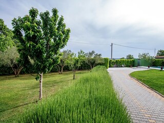 Holiday house Polača Features 16