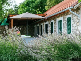 Vakantiehuis Polača Buitenaudio-opname 8