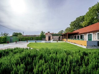 Ferienhaus Polača Außenaufnahme 13