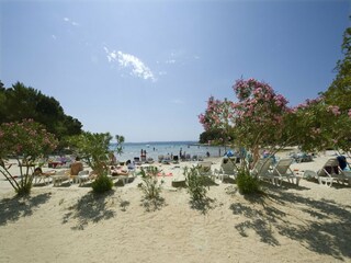 Vakantiehuis Polača Omgeving 36