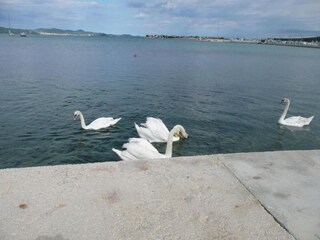 Appartement Sukošan Omgeving 22