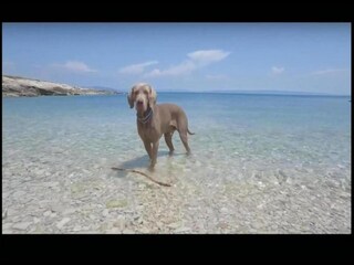 Apartment Senj Environment 32