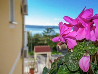 Appartement Dramalj  28