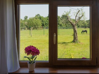 Casa per le vacanze Vodnjan Registrazione all'aperto 9