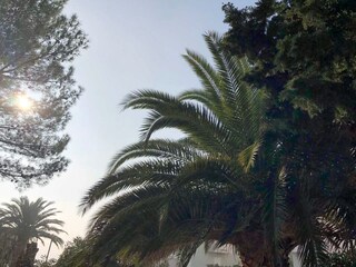 Appartamento Stara Novalja  12