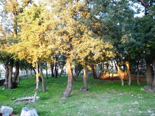 Villa Gornji Poličnik Entorno 40