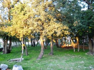 Villa Gornji Poličnik Omgeving 32