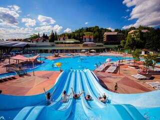 Maison de vacances Pišece Environnement 23