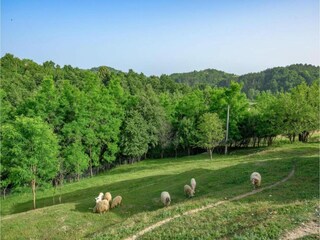 Casa per le vacanze Pišece Ambiente 26