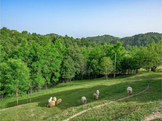 Casa per le vacanze Pišece Ambiente 27
