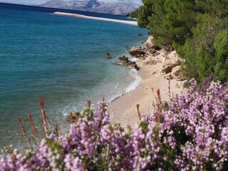Maison de vacances Makarska Environnement 22