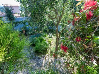 Holiday house Verunić Outdoor Recording 4