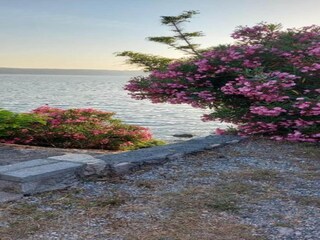 Apartment Stara Novalja Umgebung 27