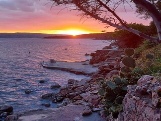 Appartement Stara Novalja Omgeving 17