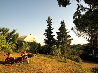 Ferienhaus Massa e Cozzile Umgebung 19