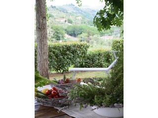Vakantiehuis Massa e Cozzile Omgeving 27