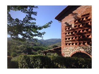 Vakantiehuis Massa e Cozzile Omgeving 31