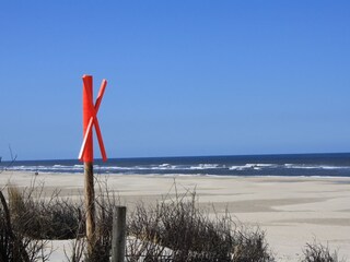 Strand und Natur