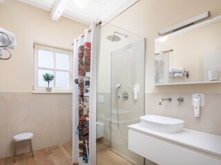 Villa Svetvinčenat Caratteristiche 34