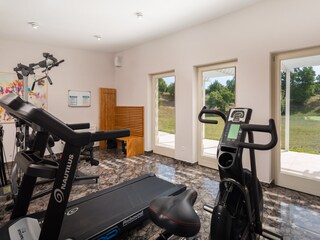 Villa Svetvinčenat Ambiente 36