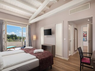 Villa Svetvinčenat Caratteristiche 33