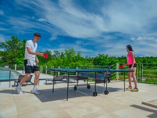 Villa Svetvinčenat Ambiente 35