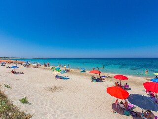 Villa San Vito dei Normanni Ambiente 36