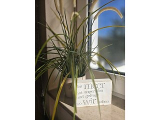 Vakantieappartement St. Peter-Ording Buitenaudio-opname 20