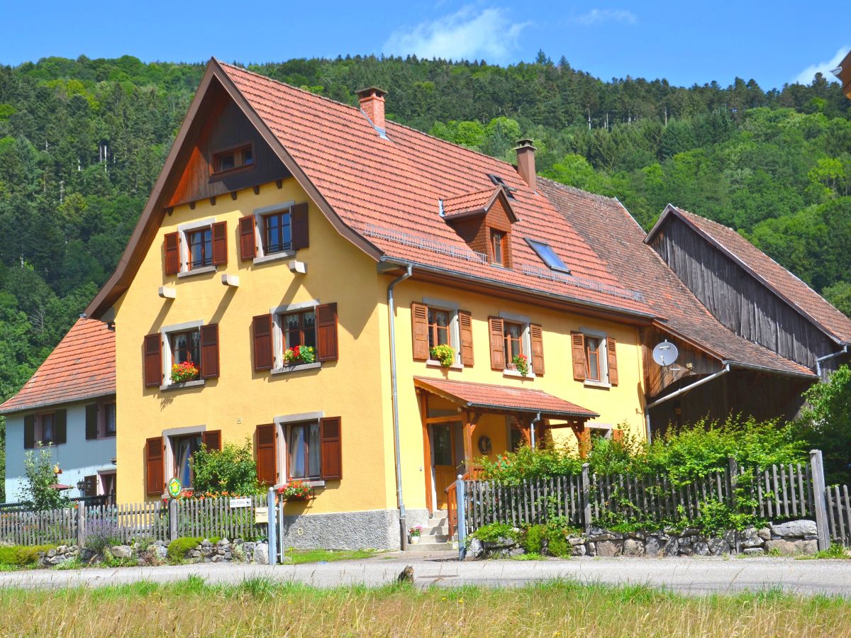 Unser Haus im Sommer