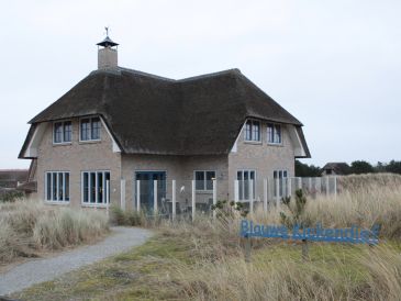 Ferienhaus Blauwe Kiekendief