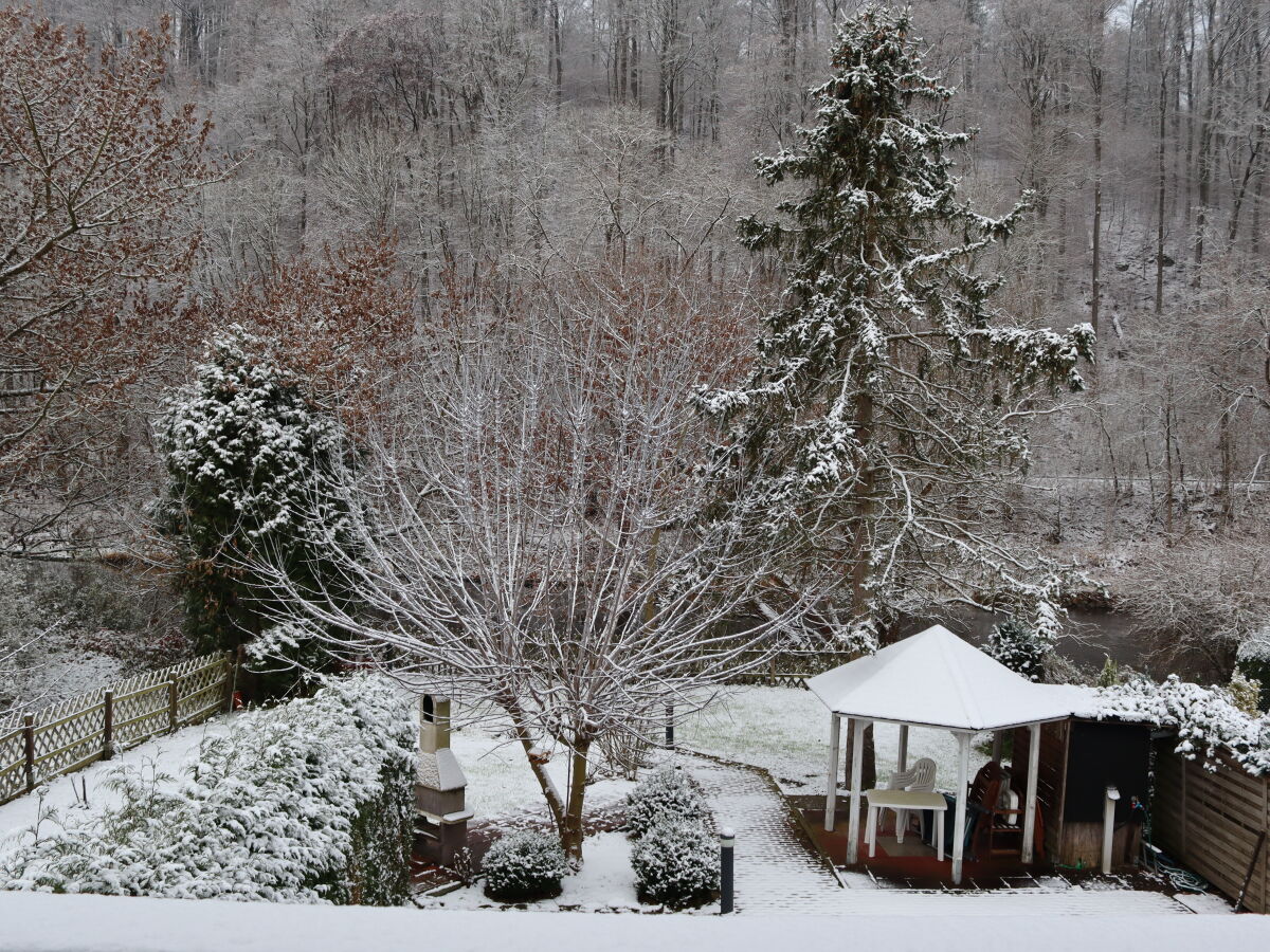 Garten im Winter