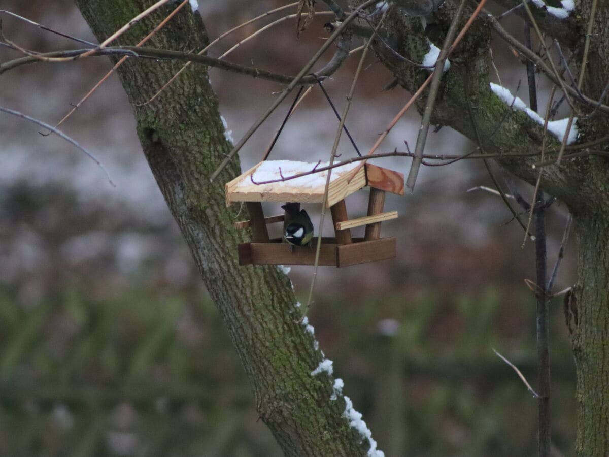 Vogelhaus im Garten