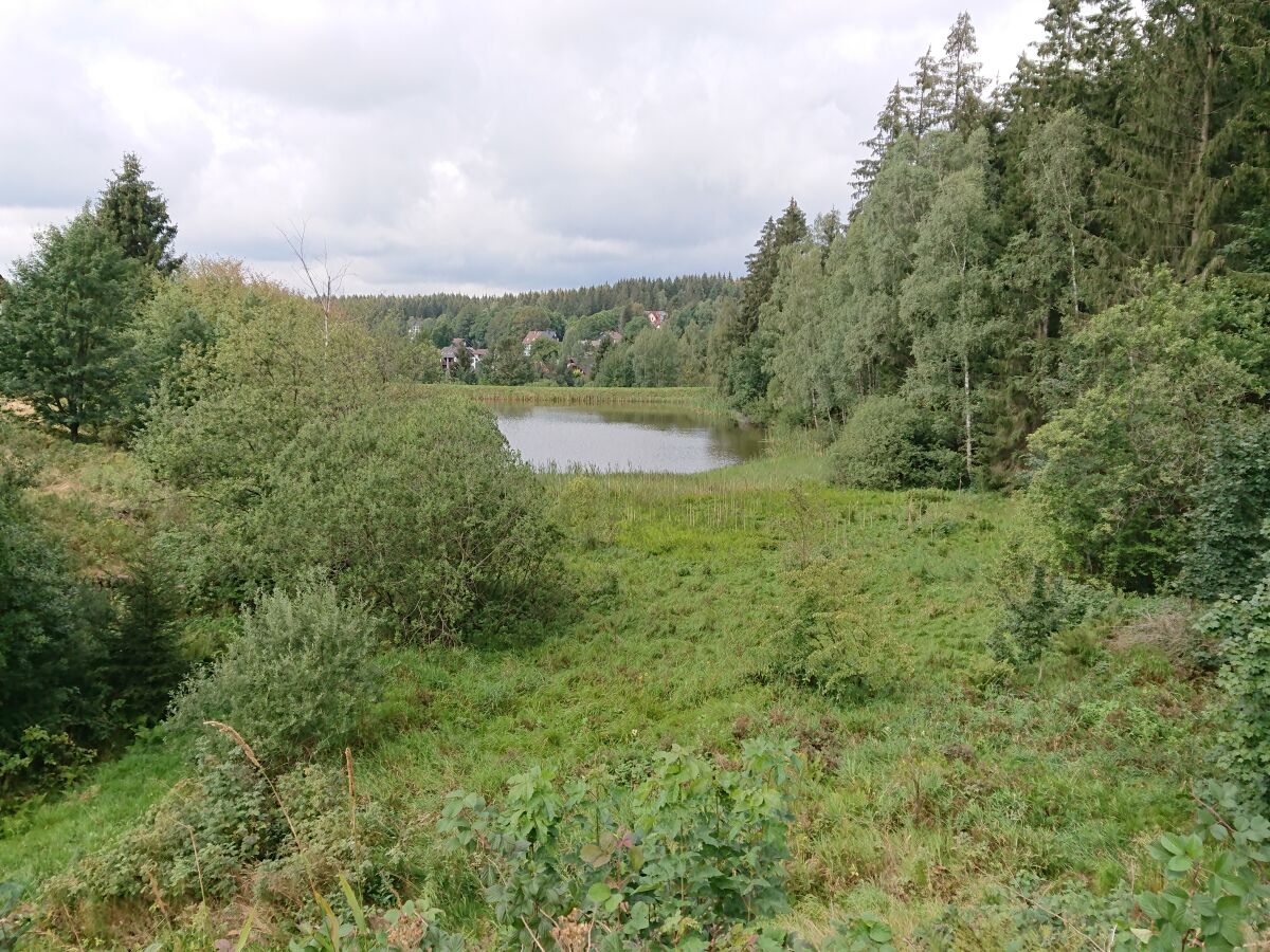 Ferienhaus 'MAUKA' - SWEET Mountain HOME (Harz Villa Carla), Hahnenklee