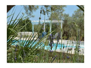 Casa per le vacanze Noto Registrazione all'aperto 19