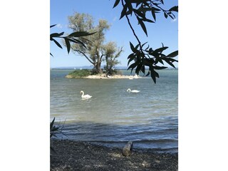 Casa per le vacanze Höchst Ambiente 11