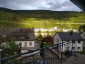 View to the river Moselle