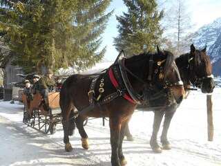 Appartamento per vacanze Mellau Registrazione all'aperto 4