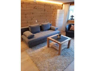 Appartamento per vacanze Mellau Caratteristiche 11