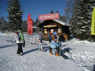 Chalet Stadl an der Mur Environnement 39