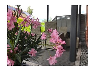 Appartamento per vacanze Heringsdorf (Seebad) Registrazione all'aperto 4