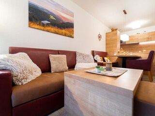 Apartamento de vacaciones Feldberg im Schwarzwald Características 6