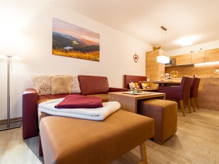 Apartamento de vacaciones Feldberg im Schwarzwald Características 12
