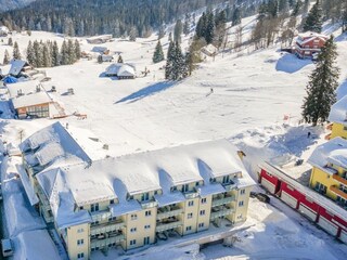 Apartamento de vacaciones Feldberg im Schwarzwald Entorno 29
