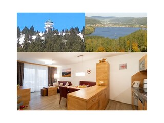 Apartamento de vacaciones Feldberg im Schwarzwald Características 2