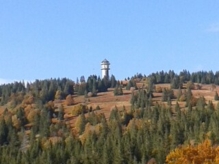 Apartamento de vacaciones Feldberg im Schwarzwald Entorno 23