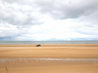 Appartamento Brévands Ambiente 36