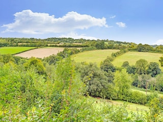 Ferienhaus Crowcombe Umgebung 30