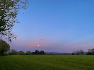 Ferienhaus Crowcombe Umgebung 35